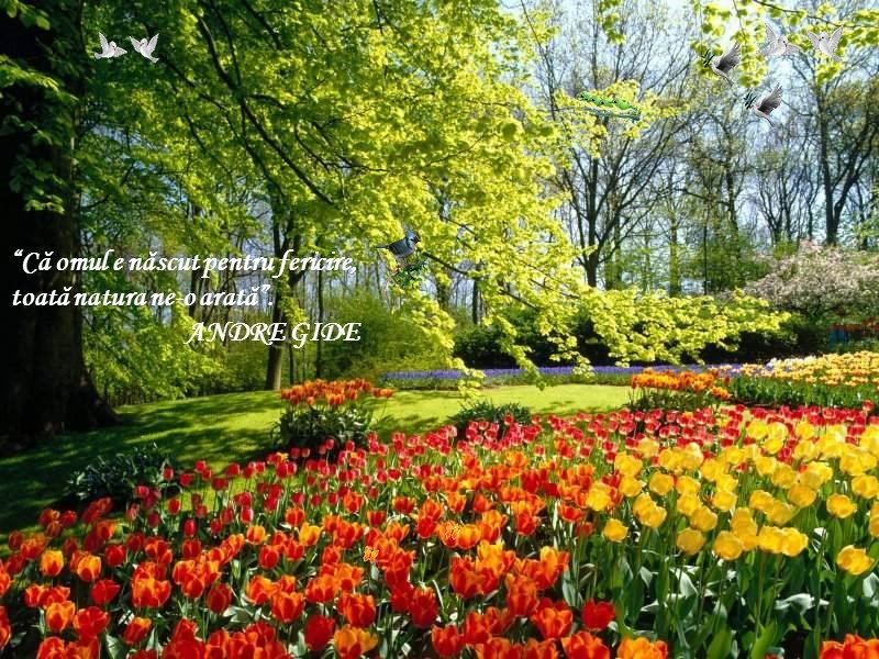 “Că omul e născut pentru fericire,  toată natura ne-o arată”.   ANDRE